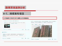 2010年微博營銷案例分析 紅人營銷與網(wǎng)站運(yùn)營的協(xié)同探索