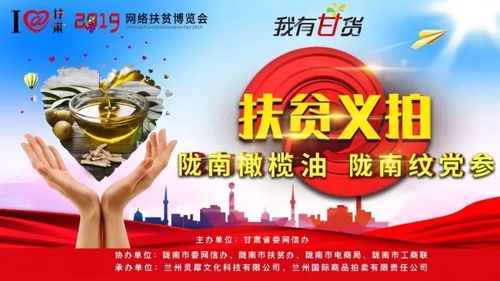 縣域鄉(xiāng)村振興新路徑 文縣農(nóng)特產(chǎn)品品牌建設(shè)與網(wǎng)站運(yùn)營實(shí)踐